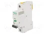 SCHNEIDER ELECTRIC Interruptor magnetotérmico ACTI9 iC60H 63A 1P Caract C