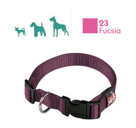 ARPPE Collar Nylon Basic Regulable 25-42 cm x 2 cm