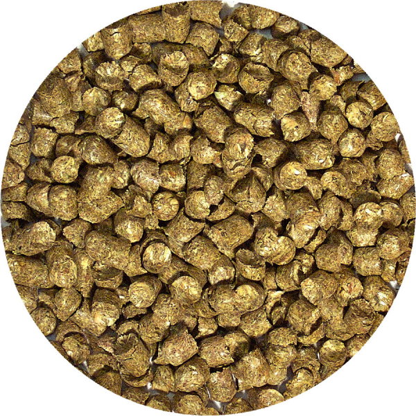 ZooMed Alimento Completo para Tortuga de Tierra 22,7 kg ZooMed Alimento Completo para Tortuga de Tierra 22,7 kg