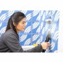 Bissell SpotClean HydroSteam Select - Limpiador a vapor de 1000 W