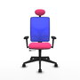 PIQUERAS Y CRESPO Silla de oficina Motilla con mecanismo Sincro/Traslack, Rosa y Azul