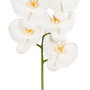 Flor Orquídea Blanco Goma Decoración 96 cm (Set de 6)