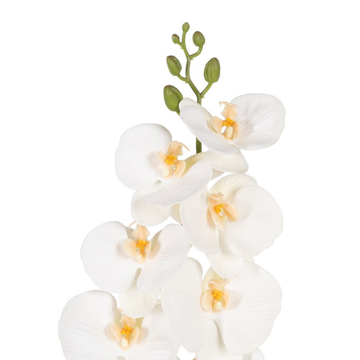 Flor Orquídea Blanco Goma Decoración 96 cm (Set de 6)