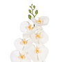 Flor Orquídea Blanco Goma Decoración 96 cm (Set de 6)