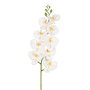 Flor Orquídea Blanco Goma Decoración 96 cm (Set de 6)