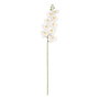 Flor Orquídea Blanco Goma Decoración 96 cm (Set de 6)