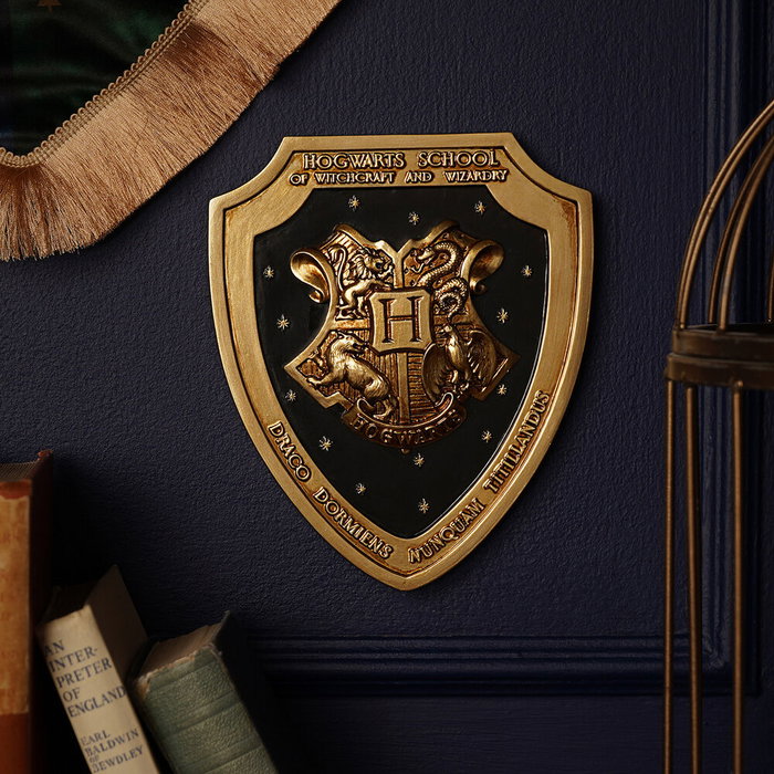 WIDDOP & CO Escudo pared 3D Hogwarts Harry Potter