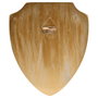 WIDDOP & CO Escudo pared 3D Hogwarts Harry Potter