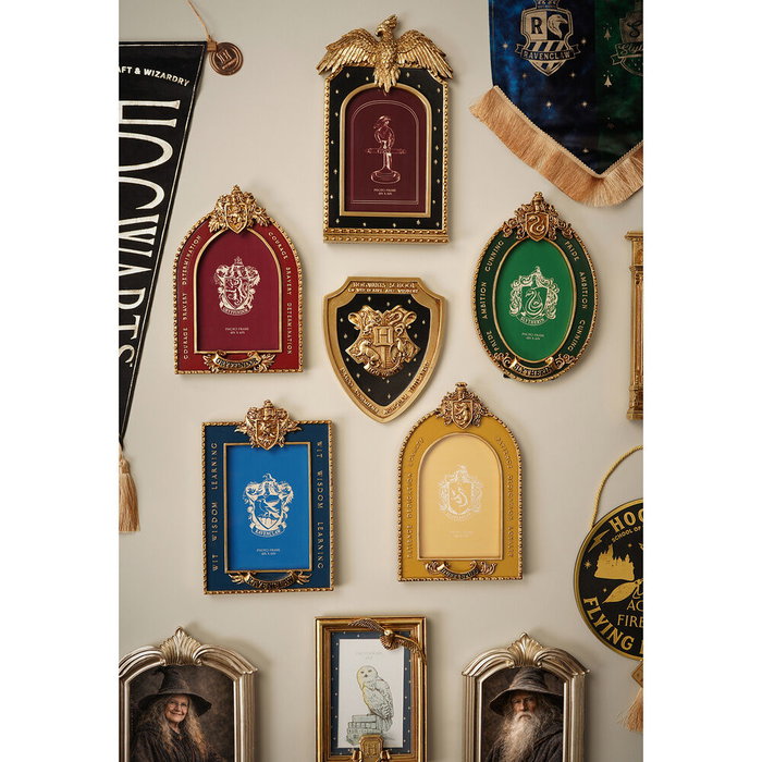 WIDDOP & CO Escudo pared 3D Hogwarts Harry Potter