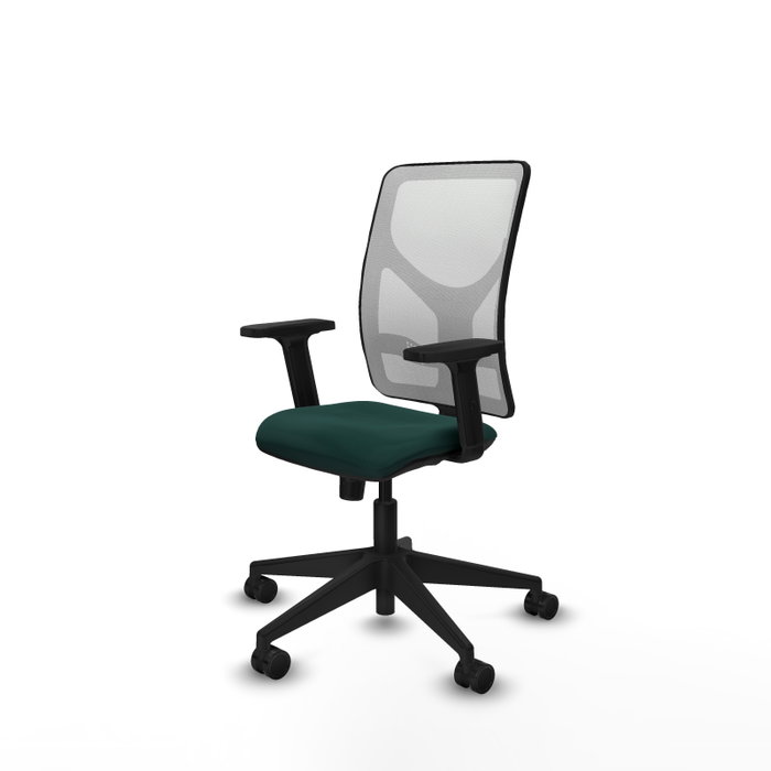 PIQUERAS Y CRESPO Silla de oficina Motilla con mecanismo Sincro Verde botella y Blanco PIQUERAS Y CRESPO Silla de oficina Motilla con mecanismo Sincro Verde botella y Blanco