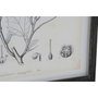 DKD Home Decor Set de 4 Cuadros Botánicos con Cristal y MDF 45x60 cm