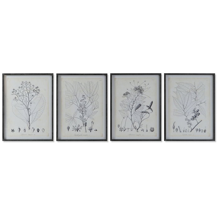 DKD Home Decor Set de 4 Cuadros Botánicos con Cristal y MDF 45x60 cm DKD Home Decor Set de 4 Cuadros Botánicos con Cristal y MDF 45x60 cm