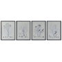 DKD Home Decor Set de 4 Cuadros Botánicos con Cristal y MDF 45x60 cm