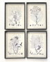 DKD Home Decor Set de 4 Cuadros Botánicos con Cristal y MDF 45x60 cm