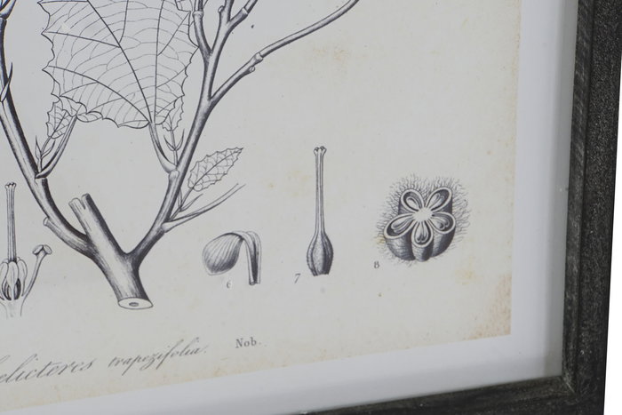 DKD Home Decor Cuadro Moderno Negro Beige Cristal MDF 2.5 x 60 x 45 cm (4 Unidades) DKD Home Decor Cuadro Moderno Negro Beige Cristal MDF 2.5 x 60 x 45 cm (4 Unidades)