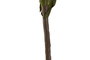 DKD Home Decor Rama EVA 30X5X105 Surtido de 3 Colores