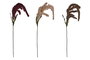 DKD Home Decor Rama EVA 30X5X105 Surtido de 3 Colores