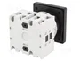 LOVATO ELECTRIC Interruptor de leva GX1610U 16A 2 Posiciones