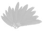 Innspiro Plumas indio blanco 60u