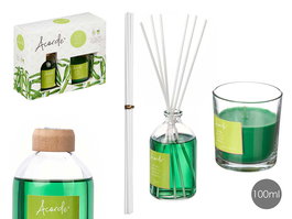 Acorde Set Mikado 100ml con Vela 30H, Bambú, Vidrio, Plástico, Verde, Dimensiones 19x15x7.5cm (Set de 6)