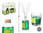 Acorde Set Mikado 100ml con Vela 30H, Bambú, Vidrio, Plástico, Verde, Dimensiones 19x15x7.5cm (Set de 6)
