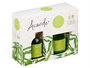 Acorde Set Mikado 100ml con Vela 30H, Bambú, Vidrio, Plástico, Verde, Dimensiones 19x15x7.5cm (Set de 6)