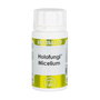 Equisalud Holofungi Micelium 50 cápsulas
