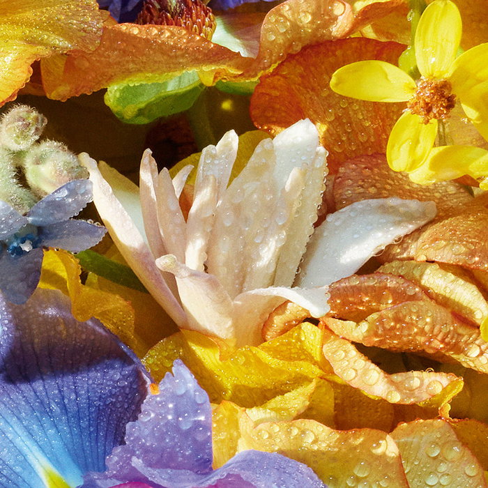 Guerlain Aqua Allegoria Flora Bloom Eau de Toilette 200ml