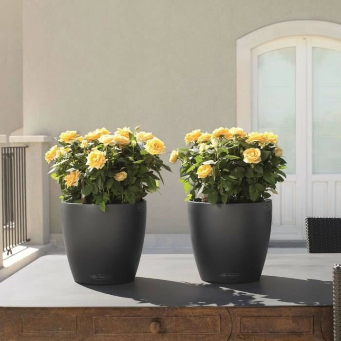 Lechuza Jardiniere Classico Color 28 Pizarra 13204 Lechuza Jardiniere Classico Color 28 Pizarra 13204
