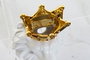 DKD Home Decor Jarrón de Dolomite Blanco y Dorado con Detalles de León