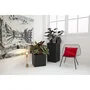 Lechuza Canto Stone Column 40, kit completo, negro grafito