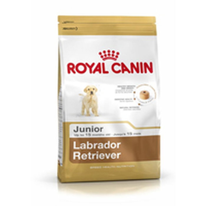 Pienso royal canin shn breed labrador junior (12 kg )