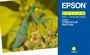 Epson Cartucho de tinta Grasshopper T0334 Amarillo