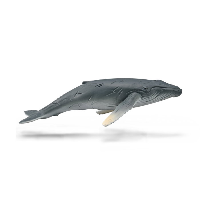 Collecta Cría de Ballena Jorobada 88963 Réplica Pintada a Mano de Animales Marinos Educativa +3 Años Collecta Cría de Ballena Jorobada 88963 Réplica Pintada a Mano de Animales Marinos Educativa +3 Años