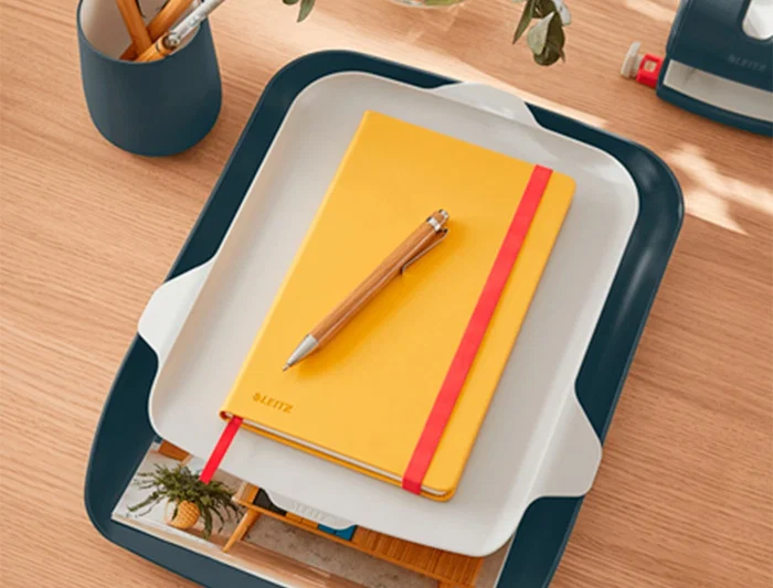 Leitz Bandeja Sobremesa Plástico Gris 274x62x391 mm