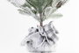 DKD Home Decor Árbol de Navidad Verde Blanco 30 x 66 x 30 cm (2 Unidades)