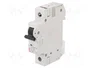 ETI POLAM Interruptor magnetotérmico ETIMAT 10 1P C32 32A 10kA