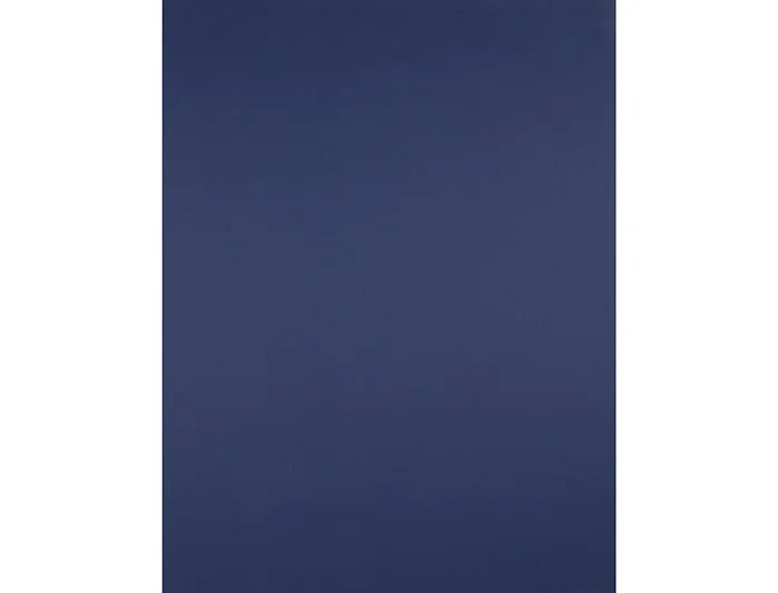 Liderpapel Cartulina 50x65 cm 240g/m2 Azul Zafiro Paquete de 25 Hojas