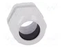 LAPP SKINTOP® Sello aislante PG29 gris claro
