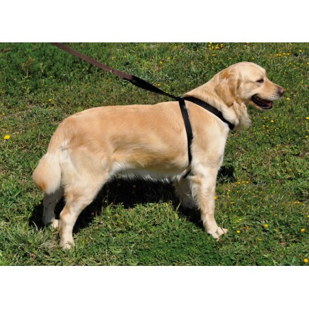 Nayeco Arnés X Coche Negro para Perro, Seguridad y Paseo, 25 mmx30-74 cm / 25 mmx40-90 cm