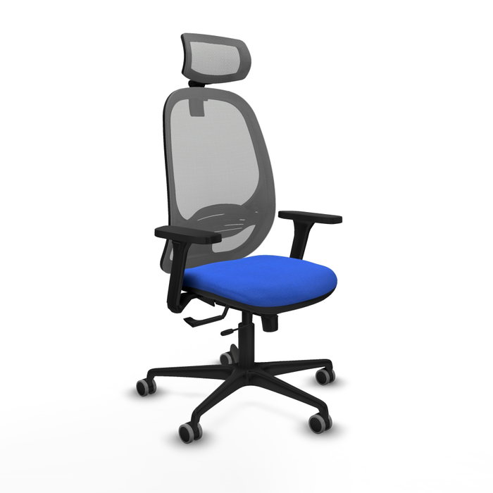 PIQUERAS Y CRESPO Silla de oficina Cilanco con mecanismo Sincro/Traslack, Azul y Gris PIQUERAS Y CRESPO Silla de oficina Cilanco con mecanismo Sincro/Traslack, Azul y Gris