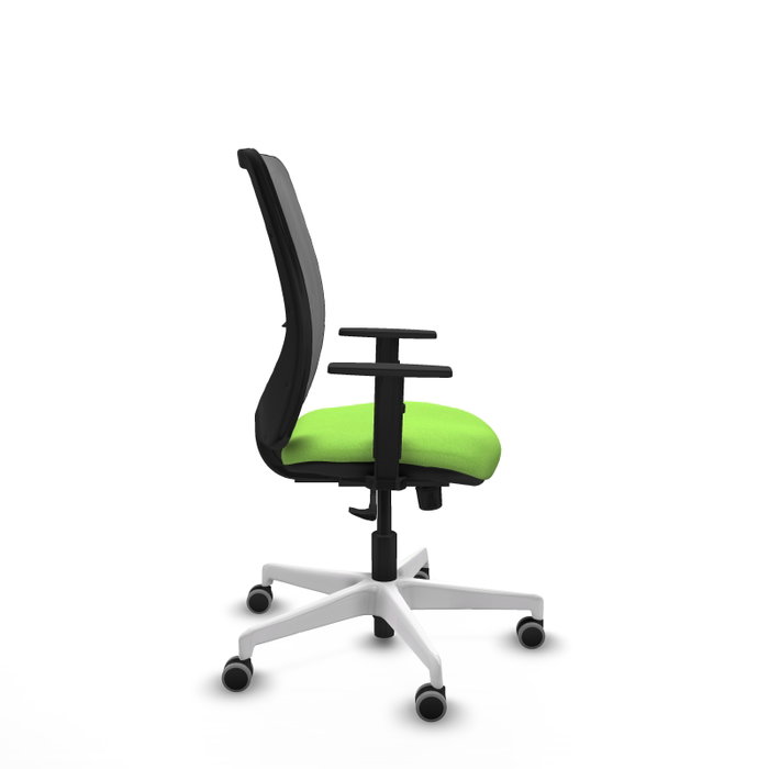 PIQUERAS Y CRESPO Silla de oficina Zulema con mecanismo Sincro, Tela Pistacho y Malla Gris PIQUERAS Y CRESPO Silla de oficina Zulema con mecanismo Sincro, Tela Pistacho y Malla Gris