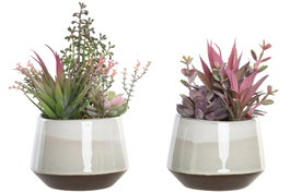 DKD Home Decor Planta de PP y Espuma Surtida Rosa y Verde