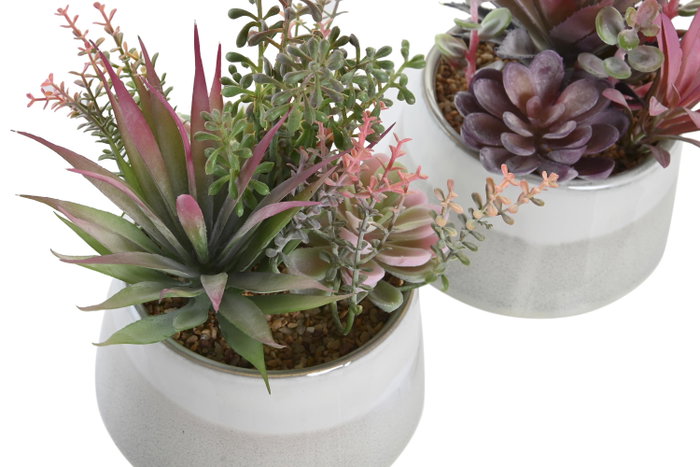 DKD Home Decor Planta de PP y Espuma Surtida Rosa y Verde
