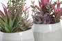 DKD Home Decor Planta de PP y Espuma Surtida Rosa y Verde