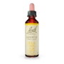 BACH Gentian (Genciana) Nº12 20 ml