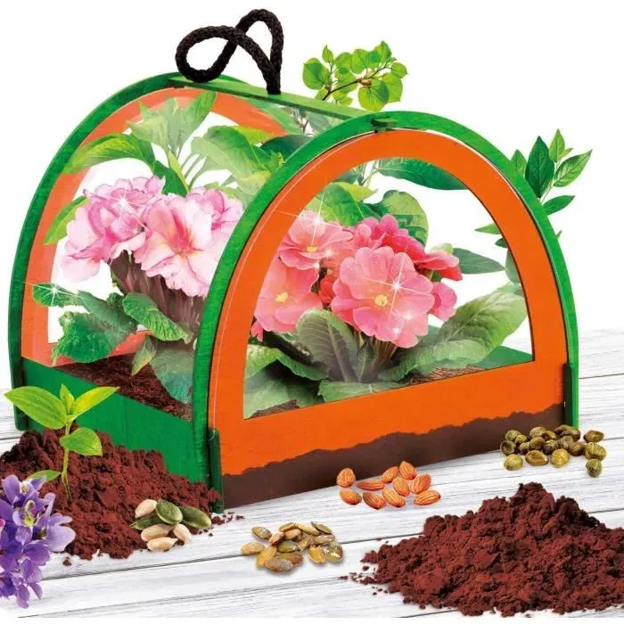 Lisciani Giochi Descubrimiento Botánico - Kit Científico I'M A GENIUS POCKET - Invernadero Miniatura, Experimentos Botánicos LIS8008324105007