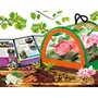 Lisciani Giochi Descubrimiento Botánico - Kit Científico I'M A GENIUS POCKET - Invernadero Miniatura, Experimentos Botánicos LIS8008324105007