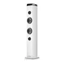 NGS Sky Charm Pro Torre de Sonido Blanca 80W