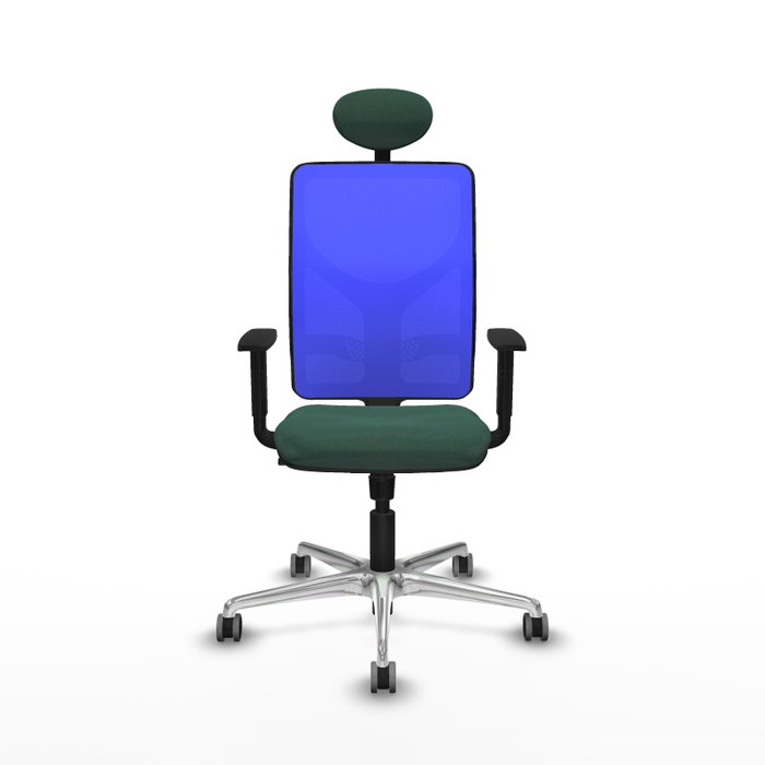 PIQUERAS Y CRESPO Silla de oficina Motilla con mecanismo Sincro, Verde botella y Azul